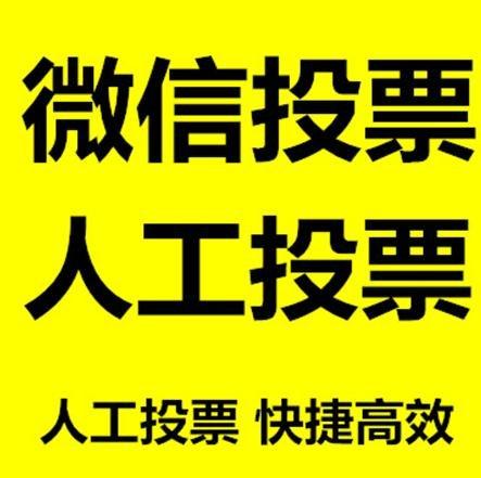 荆门市微信刷票怎么投票