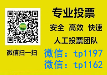 荆门市微信手动投票费多少钱让我告诉你微信投了多少